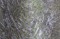 Monkhill fibreglass roof work